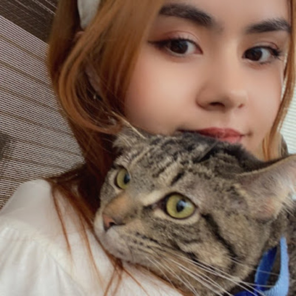 Meet your Posher, Izzy - Picture 1 of 1